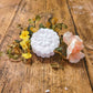 Foaming Bath Bomb clearance - The Cornish Scent Company