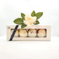 Luxurious bath melt truffles gift set - The Cornish Scent Company